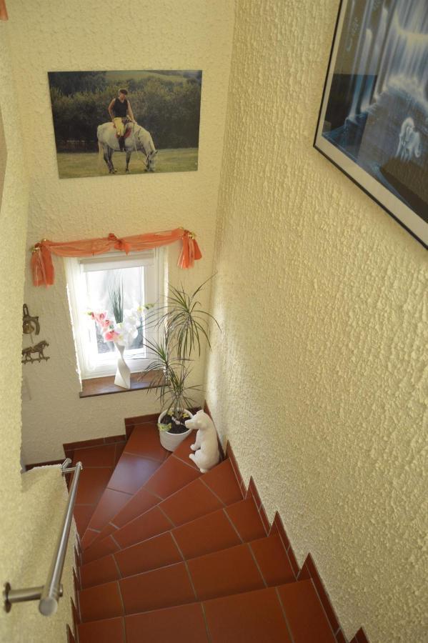 Ferienwohnung Auszeit Waxweiler Extérieur photo